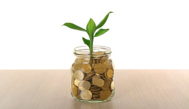 Para ve cam masa üzerinde büyüyen Fideler