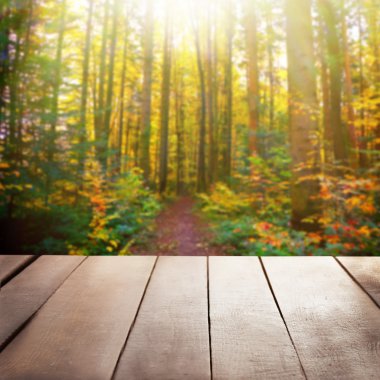 ahşap zemin ile doğa arka plan