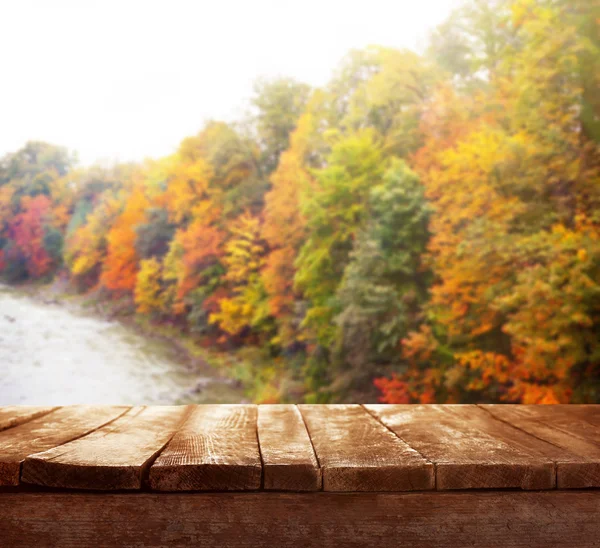 Fond nature avec plancher en bois — Photo