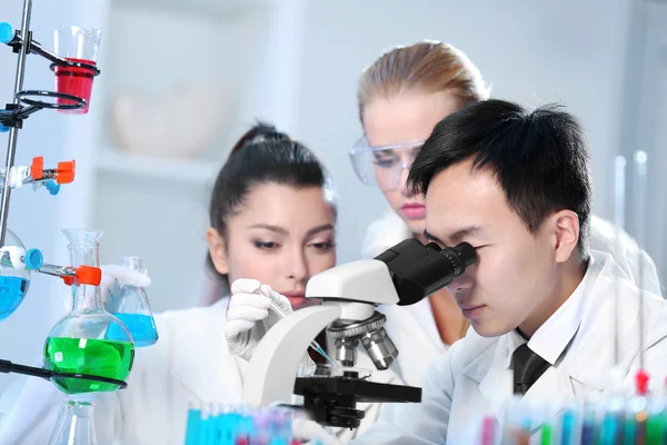 Medical technicians working in laboratory — Stock Photo, Image