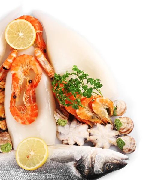 Makanan laut diisolasi di atas putih — Stok Foto