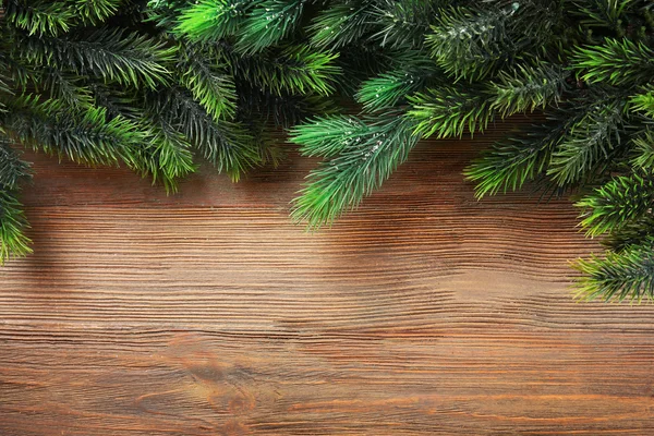 크리스마스 전나무 트리 분기 — 스톡 사진