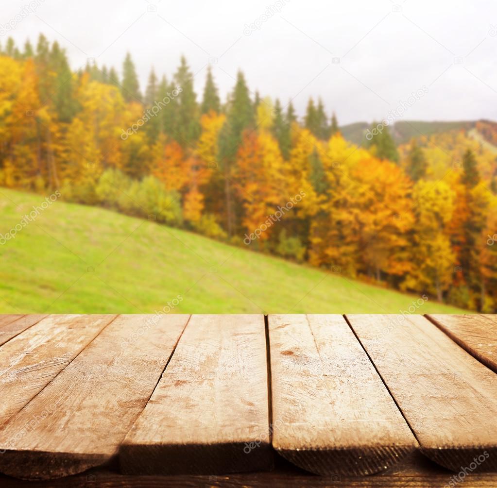 nature background with wooden floor
