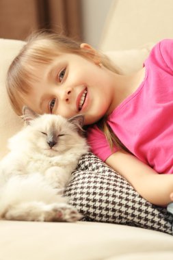 kanepe üzerinde yavru kedi kız