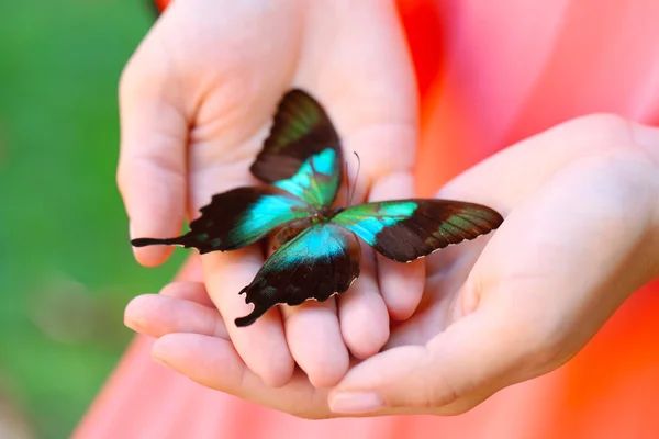 Mariposa colorida en mano femenina, primer plano — Foto de Stock