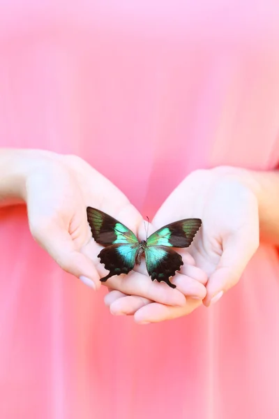 Kleurrijke vlinder in vrouwelijke hand, close-up — Stockfoto