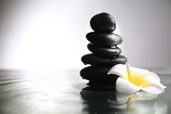 Composition of plumeria flower and pebbles pile on grey background — Stock Photo, Image