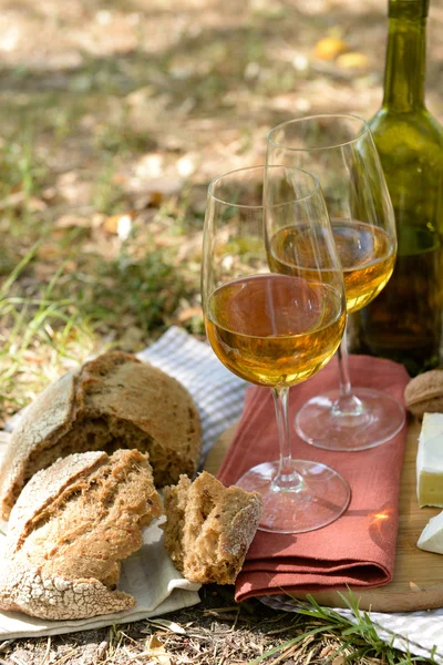 Hermosa composición de vino blanco, queso, nueces y pan en el suelo en el parque —  Fotos de Stock
