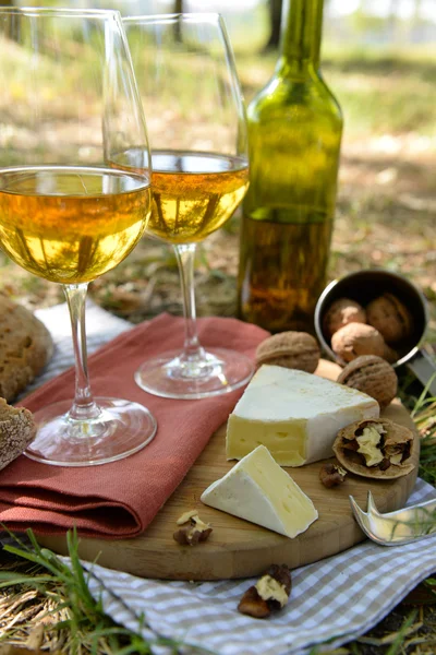 Hermosa composición de vino blanco, queso, nueces y pan en el suelo en el parque —  Fotos de Stock