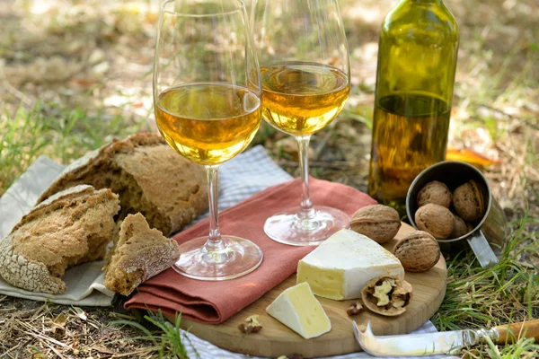 白ワイン、チーズ、ナッツ、公園の地面にパンの美しい構図 — ストック写真