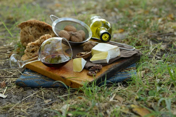 Vackra picknick sammansättning på marken i parken — Stockfoto