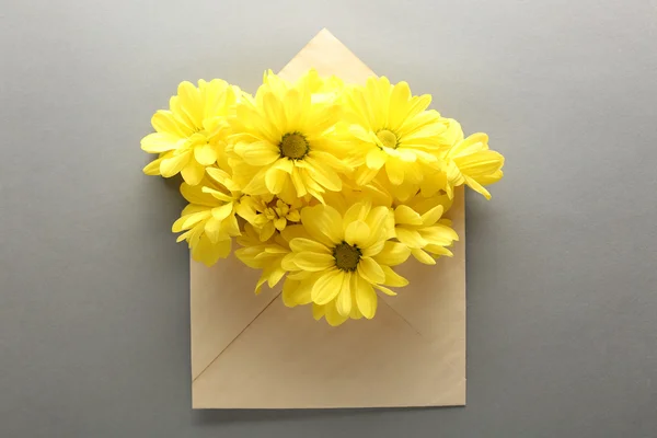 Желтая хризантема в конверте на сером фоне — стоковое фото