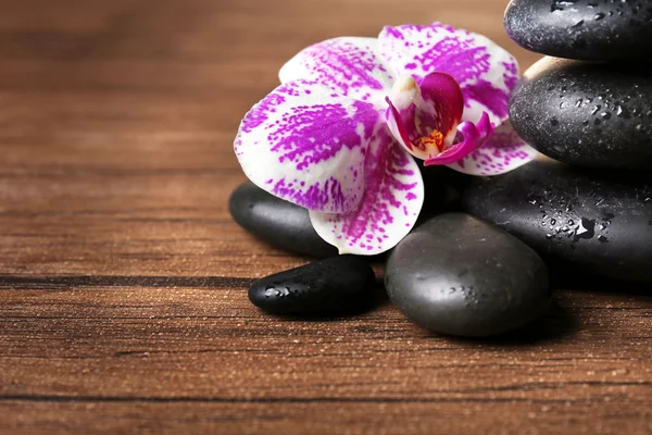 Ciottoli neri con orchidea su fondo di legno — Foto Stock