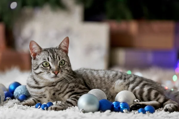 Smuk kat nær juletræ - Stock-foto