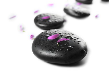 Çiçek yaprakları, üzerinde beyaz izole taşlarla sıcak spa