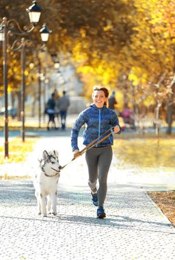 kadın parkta onu köpek ile jogging