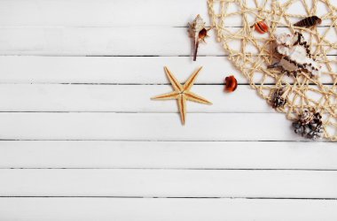 Deniz kabuklarını ve Balık ağı 