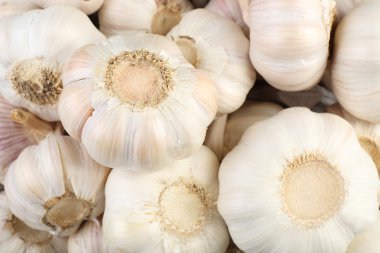 Beyaz sarımsak arka plan 