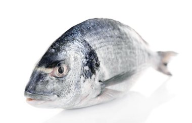 Beyaz arka planda izole edilmiş taze balık