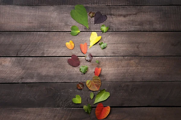 Herfstbladeren op achtergrond — Stockfoto