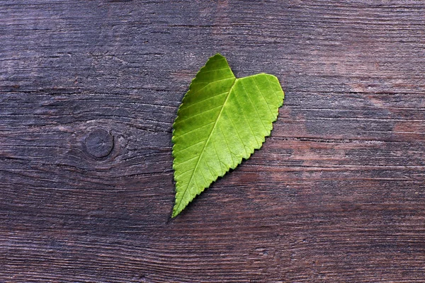 Leaf on wooden background — Stock Photo, Image