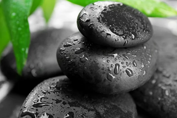 Piedras de spa y rama de bambú de primer plano — Foto de Stock