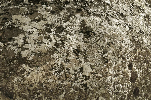 灰色の石の質感 — ストック写真