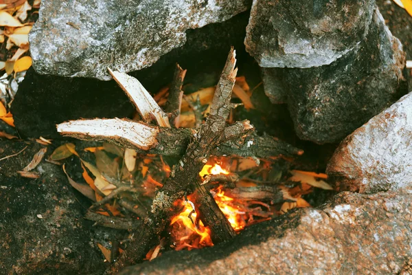 Turystów ogień w lesie — Zdjęcie stockowe