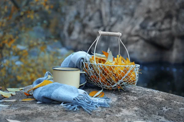 Panier avec feuilles dorées — Photo