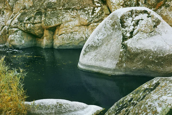 森の中の美しい湖 — ストック写真