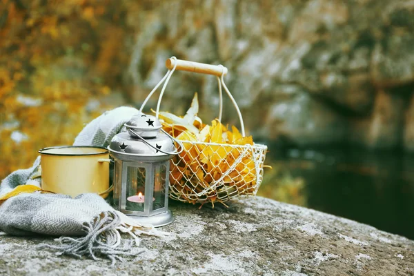 Cesta con hojas doradas — Foto de Stock