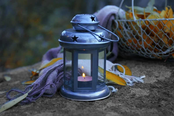 Decorative lamp in forest — Stock Photo, Image