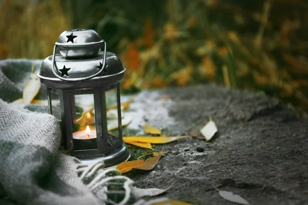 Decorative lamp in forest — Stock Photo, Image