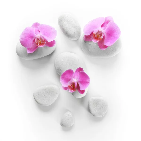 Bílá wellness kameny a orchideje — Stock fotografie