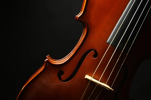 Violín sobre fondo oscuro —  Fotos de Stock