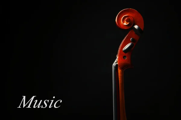 Violin neck on dark background — Stock Photo, Image