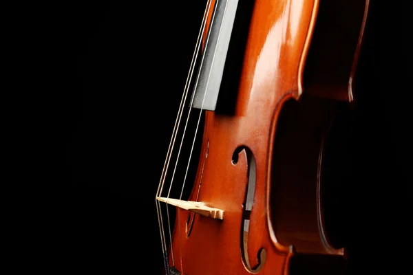 Violín sobre fondo oscuro —  Fotos de Stock