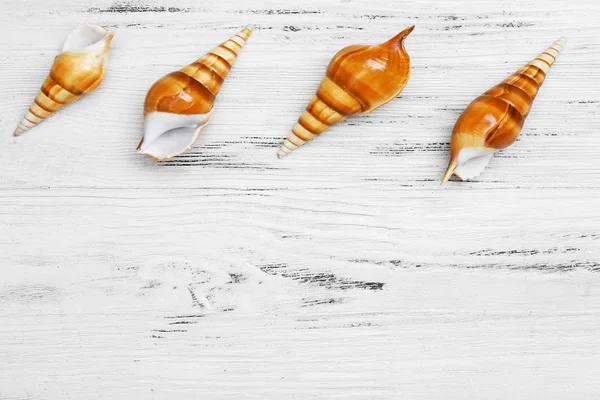 Conchas de mar sobre mesa de madera — Foto de Stock