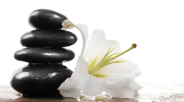 Spa stones with lily, isolated on white — Stock Photo, Image