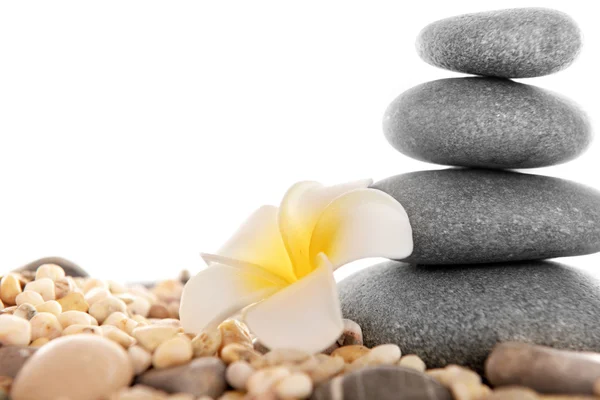 Paar spa stenen met plumeria, geïsoleerd op wit — Stockfoto