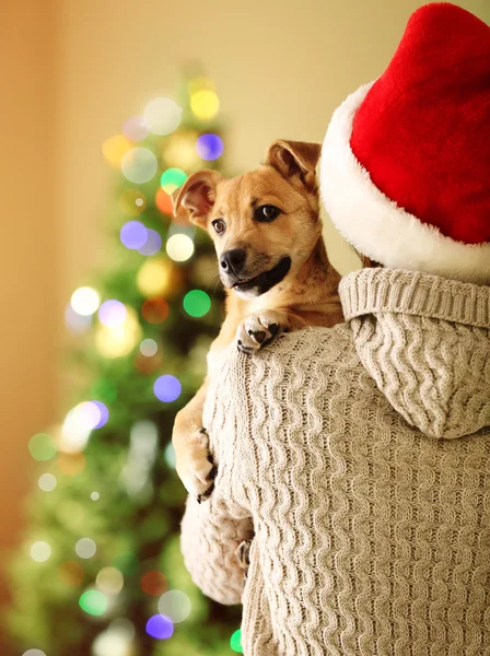 Donna in cappello Babbo Natale che tiene il cane piccolo — Foto Stock