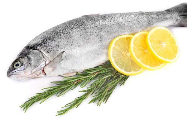 Свежая морская рыба с лимоном и розмарином на белом фоне — стоковое фото