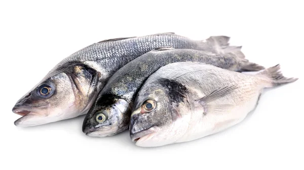 Pescado fresco en hilera aislado sobre fondo blanco —  Fotos de Stock