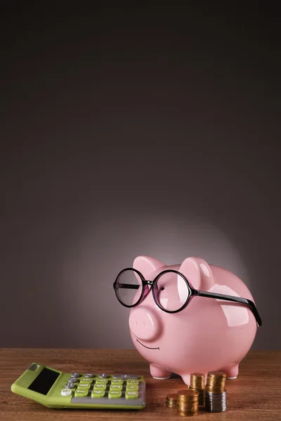 Свинка в очках — стоковое фото