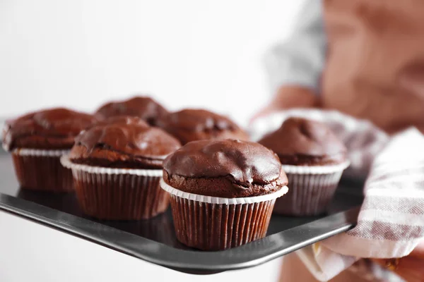 Ama de casa sosteniendo horno-bandeja con cupcakes de chocolate, de cerca —  Fotos de Stock