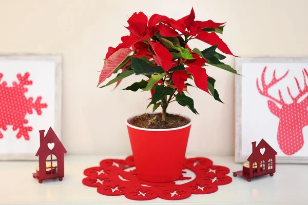 Natale fiore poinsettia e decorazioni su scaffale, su sfondo chiaro — Foto Stock