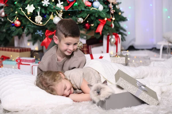 Chico sorprendido con gato como regalo —  Fotos de Stock