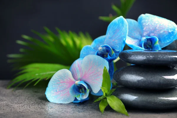 Hermosa composición de spa con orquídea azul y piedras —  Fotos de Stock