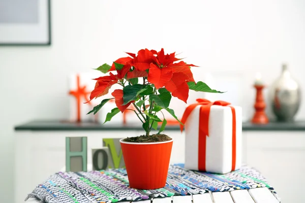 Christmas flower poinsettia and decorations on table with Christmas decorations, on light background — Stock Photo, Image