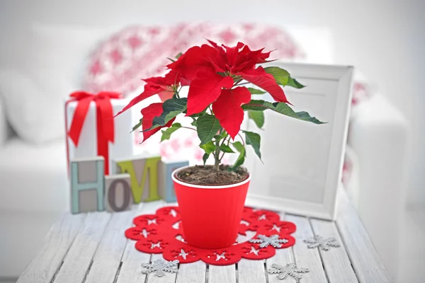 Jul blomma Julstjärna och dekorationer på bord med julpynt på ljus bakgrund — Stockfoto